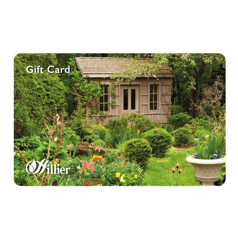 00251130 1 Gift Cards Potting Shed.jpg
